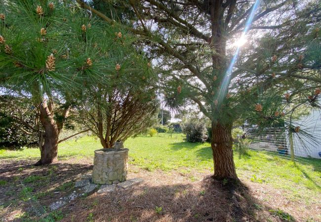 House in Plouharnel - ER BLEHUA - Holiday home with garden Plouharnel, bay of Quiberon - C58 House in Plouharnel - ER BLEHUA - Holiday home with garden Plouharnel, bay of Quiberon - C58