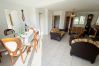 House in Plouharnel - KERBACHIQUE - House with garden for holiday rental in Plouharnel, South Morbihan - C89 House in Plouharnel - KERBACHIQUE - House with garden for holiday rental in Plouharnel, South Morbihan - C89