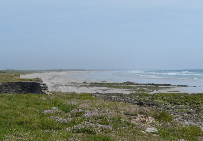 House in Pouldreuzic - LARAON - Maison, Calme, Pouldreuzic - AD6004 House in Pouldreuzic - LARAON - Maison, Calme, Pouldreuzic - AD6004