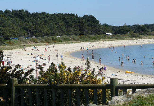 Apartment in Carnac - KERPOUM - Apartment in holiday rental 300 m from the beach, Carnac - D29 Apartment in Carnac - KERPOUM - Apartment in holiday rental 300 m from the beach, Carnac - D29