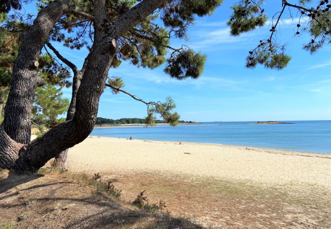 Apartment in La Trinité-sur-Mer - MOUETTES 4 - Holiday apartment with sea view between Carnac and Trinité-sur-Mer - D190 Apartment in La Trinité-sur-Mer - MOUETTES 4 - Holiday apartment with sea view between Carnac and Trinité-sur-Mer - D190