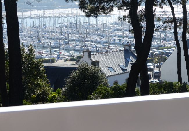 Apartment in La Trinité-sur-Mer - LES TERRASSES - Duplex vue sur le port - TPO120