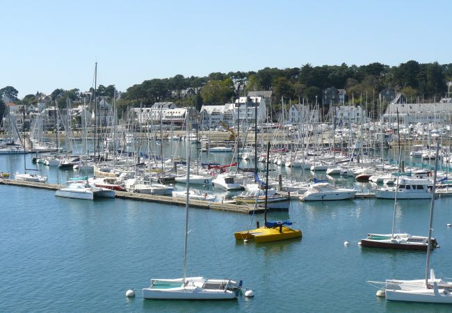 Apartment in La Trinité-sur-Mer - LES TERRASSES - Apartment overlooking the port of La Trinité-sur-Mer in Quiberon bay, Morbihan - TPO120 Apartment in La Trinité-sur-Mer - LES TERRASSES - Apartment overlooking the port of La Trinité-sur-Mer in Quiberon bay, Morbihan - TPO120