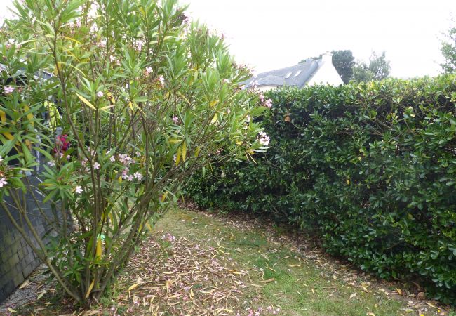 Apartment in Carnac - PORT AN DRO 1 - Apartment - holiday rental in Carnac - near beach - K295 Apartment in Carnac - PORT AN DRO 1 - Apartment - holiday rental in Carnac - near beach - K295
