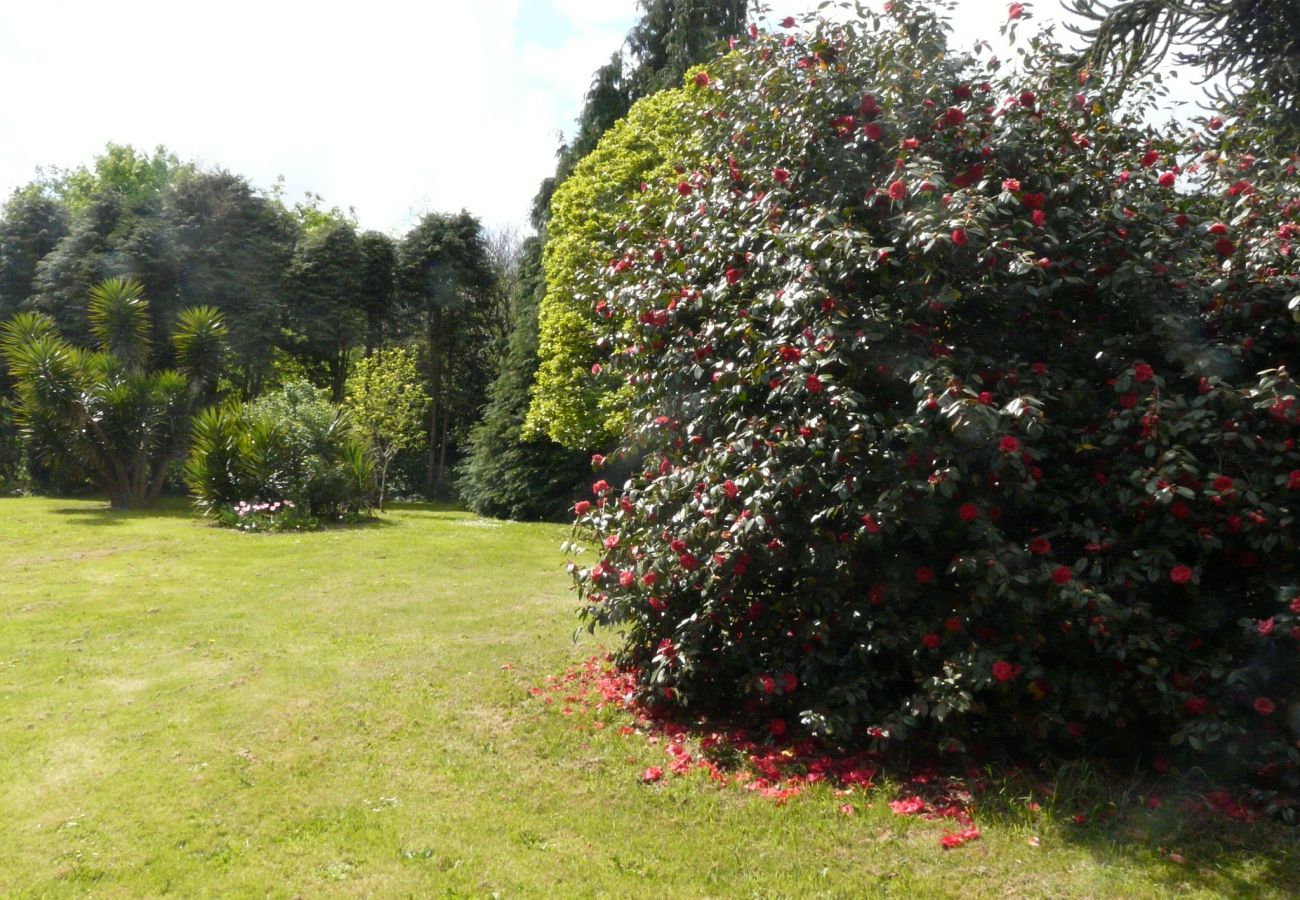 House in Concarneau - Kersaby, Maison Bourgeoise Bretonne -CO8001