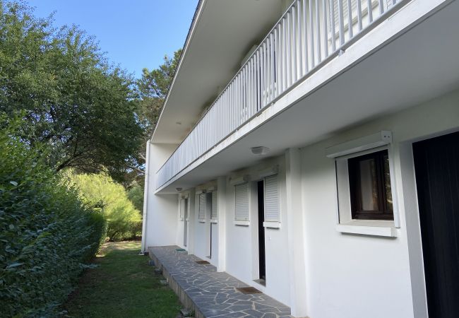 Apartment in Carnac - AR BOD - Apartment in holiday rentals near the beach of Men Du - Carnac / la Trinité sur Mer - D38 Apartment in Carnac - AR BOD - Apartment in holiday rentals near the beach of Men Du - Carnac / la Trinité sur Mer - D38