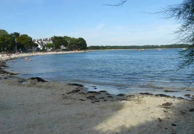 Studio in Carnac - BEAUMER - Studio sea view with terrace Carnac, Beaumer - UD96 Studio in Carnac - BEAUMER - Studio sea view with terrace Carnac, Beaumer - UD96