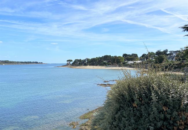 House in La Trinité-sur-Mer - KERDUAL - House for rent between Carnac and Trinité-sur-Mer - C77 House in La Trinité-sur-Mer - KERDUAL - House for rent between Carnac and Trinité-sur-Mer - C77