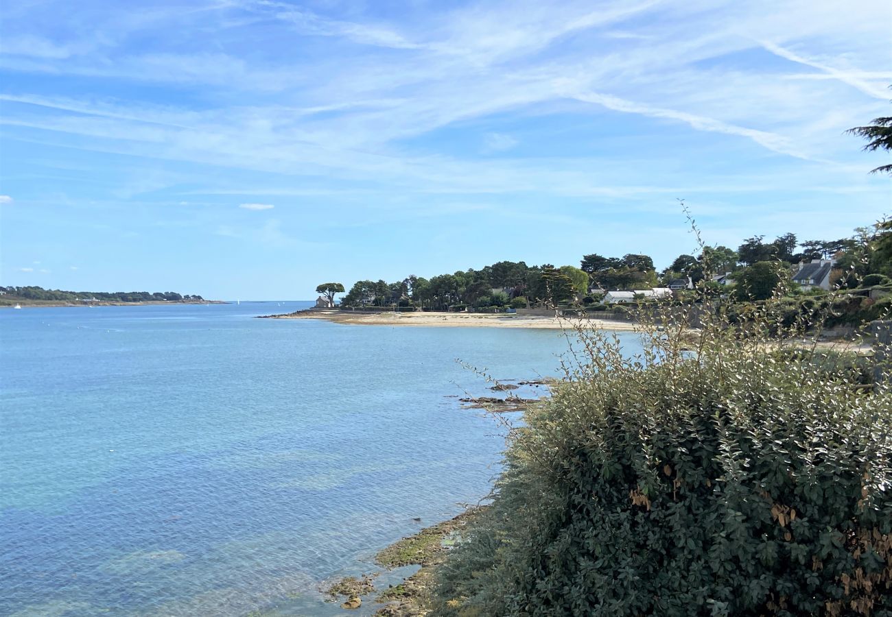 House in La Trinité-sur-Mer - KERDUAL - Jardin, Plage à pied par sentier - C77