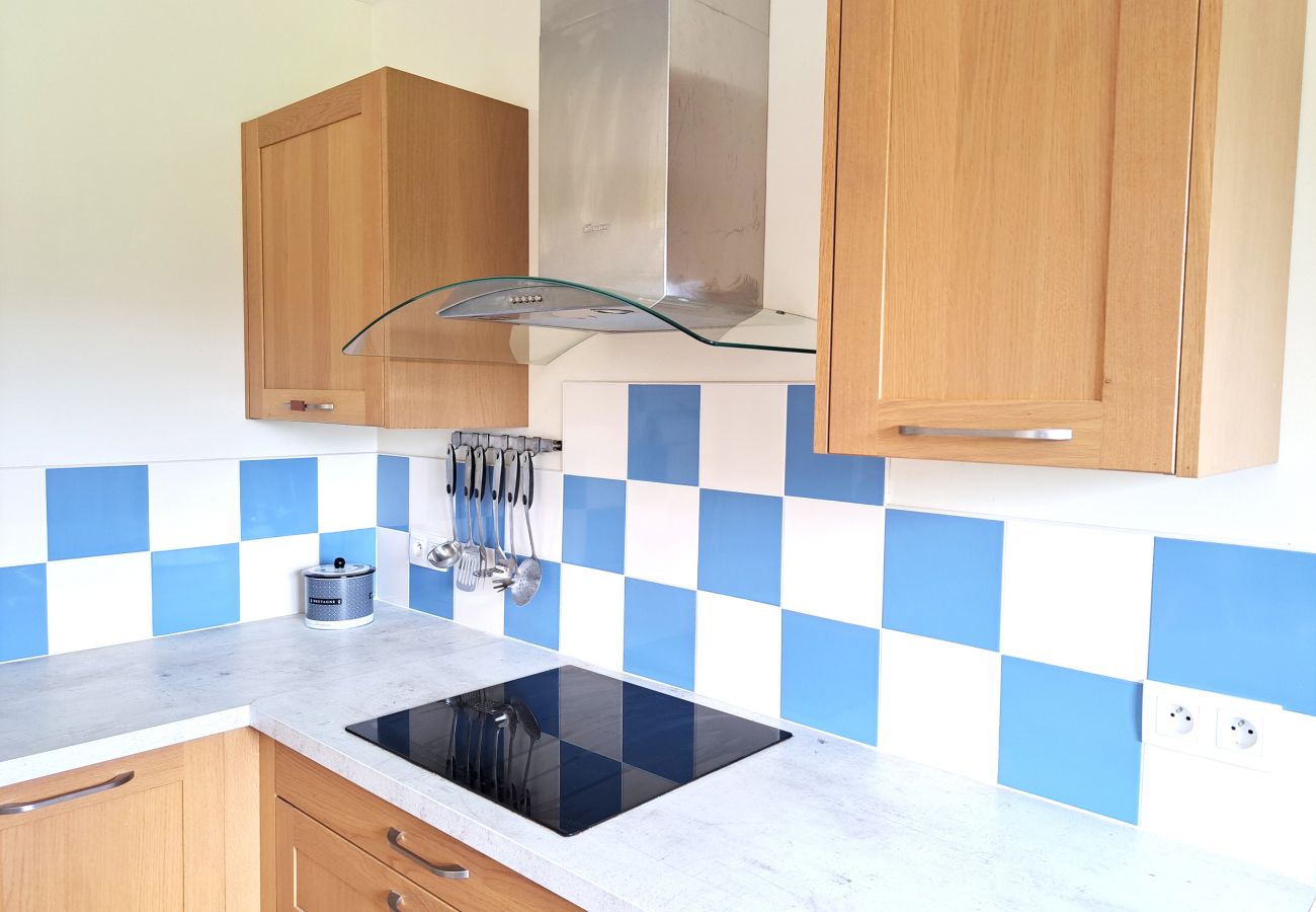 House in Locmariaquer - LANN VRAS - Holiday home with garden for rent, Locmariaquer - K25