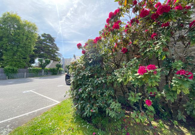 Studio in Carnac - CÉLADON - Studio, Rez-de-Jardin, Proche Plage - U205 Studio in Carnac - CÉLADON - Studio, Rez-de-Jardin, Proche Plage - U205