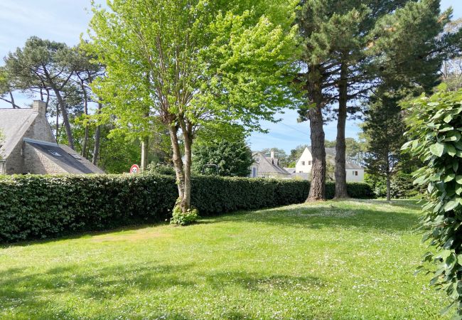 Studio in Carnac - CÉLADON - Studio, Rez-de-Jardin, Proche Plage - U205 Studio in Carnac - CÉLADON - Studio, Rez-de-Jardin, Proche Plage - U205