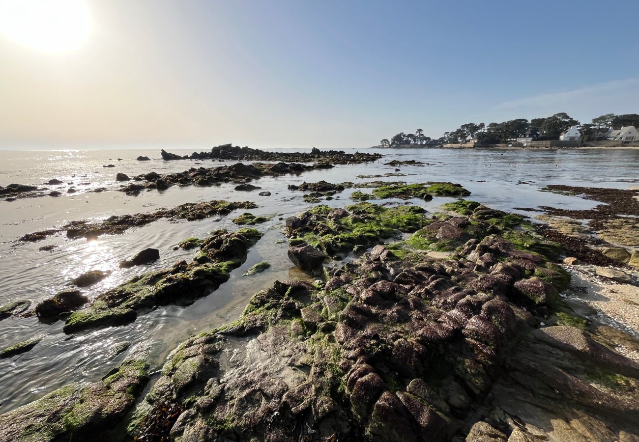 House in Carnac - VILLA BEAUMER - Beach Access . Sea view - TK60