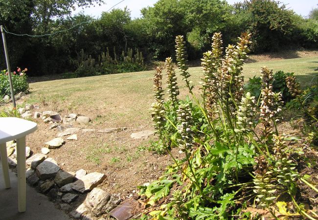 Maison à Primelin - KERVRANT - Maison Bretonne, Bord Mer - AD6008 Maison à Primelin - KERVRANT - Maison Bretonne, Bord Mer - AD6008