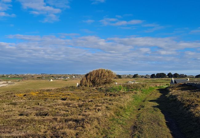 Maison à Esquibien - TY FORN - Maison Typique à Esquibien - AD5009 Maison à Esquibien - TY FORN - Maison Typique à Esquibien - AD5009