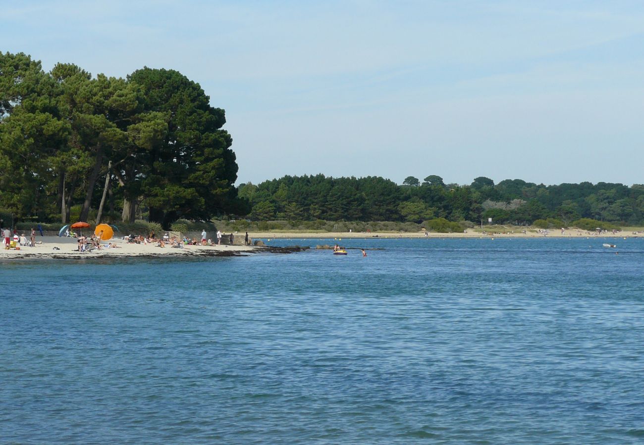 Appartement à Carnac - Les Alizés, beau duplex avec balcon et Wifi - TK2