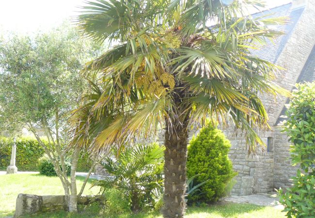 Maison à Saint-Philibert - GWEVAZIG - Maison de vacances avec jardin proche des plages, Morbihan - S22 Maison à Saint-Philibert - GWEVAZIG - Maison de vacances avec jardin proche des plages, Morbihan - S22