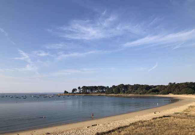 Maison à Saint-Philibert - GWEVAZIG - Maison de vacances avec jardin proche des plages, Morbihan - S22 Maison à Saint-Philibert - GWEVAZIG - Maison de vacances avec jardin proche des plages, Morbihan - S22