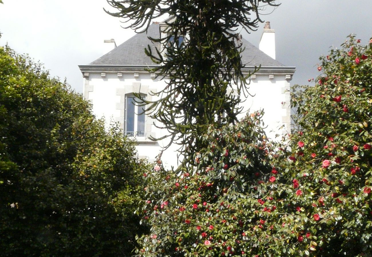 Maison à Concarneau - Kersaby, Maison Bourgeoise Bretonne -CO8001