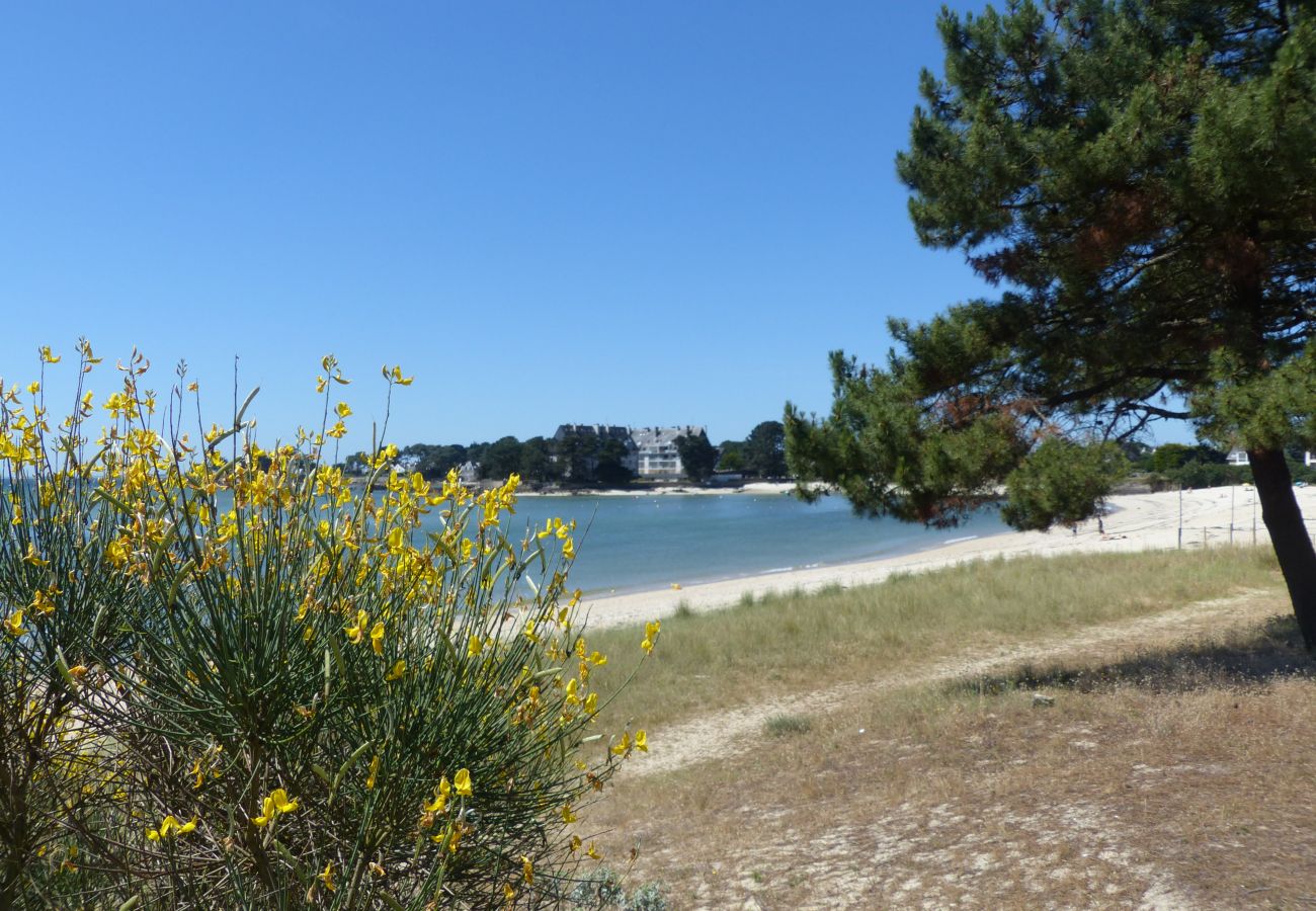 Appartement à Carnac - MOUETTES 3 - Balcon, Vue Mer, Men Du - T356