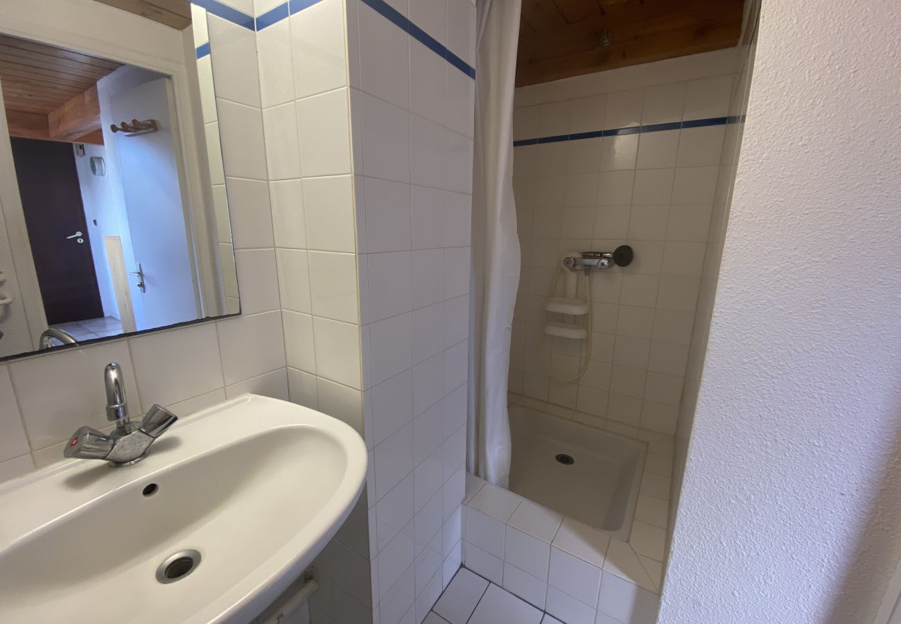 Appartement à Carnac - Beau Duplex Spacieux, Terrasse Exposée Sud D30