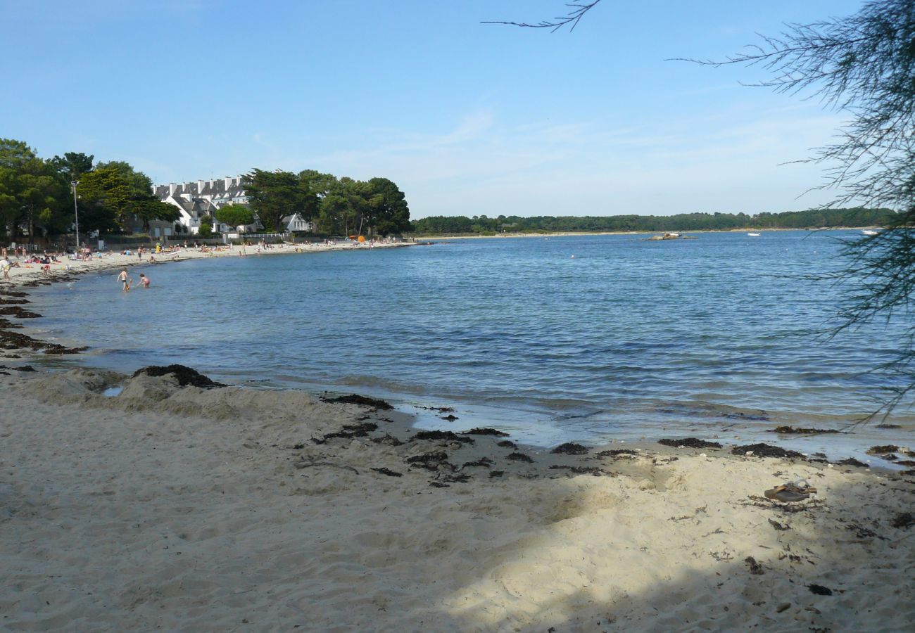 Appartement à Carnac - Tal Mor, Appart. Balcon Vue Mer, 50m plage -D8