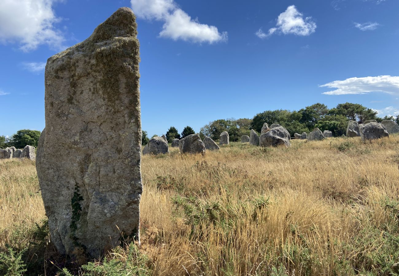 Maison à Carnac - Tumulus, Belle Villa 6 pièces, Jardin et Terrasse -S23