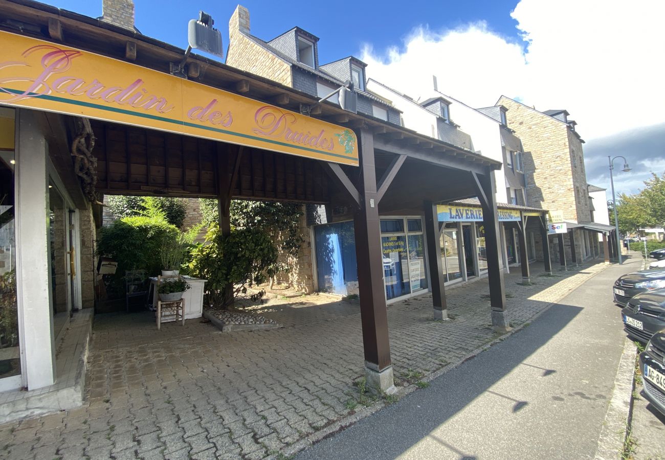 Appartement à Carnac - Korrigans, Appartement Moderne Carnac Bourg - D19