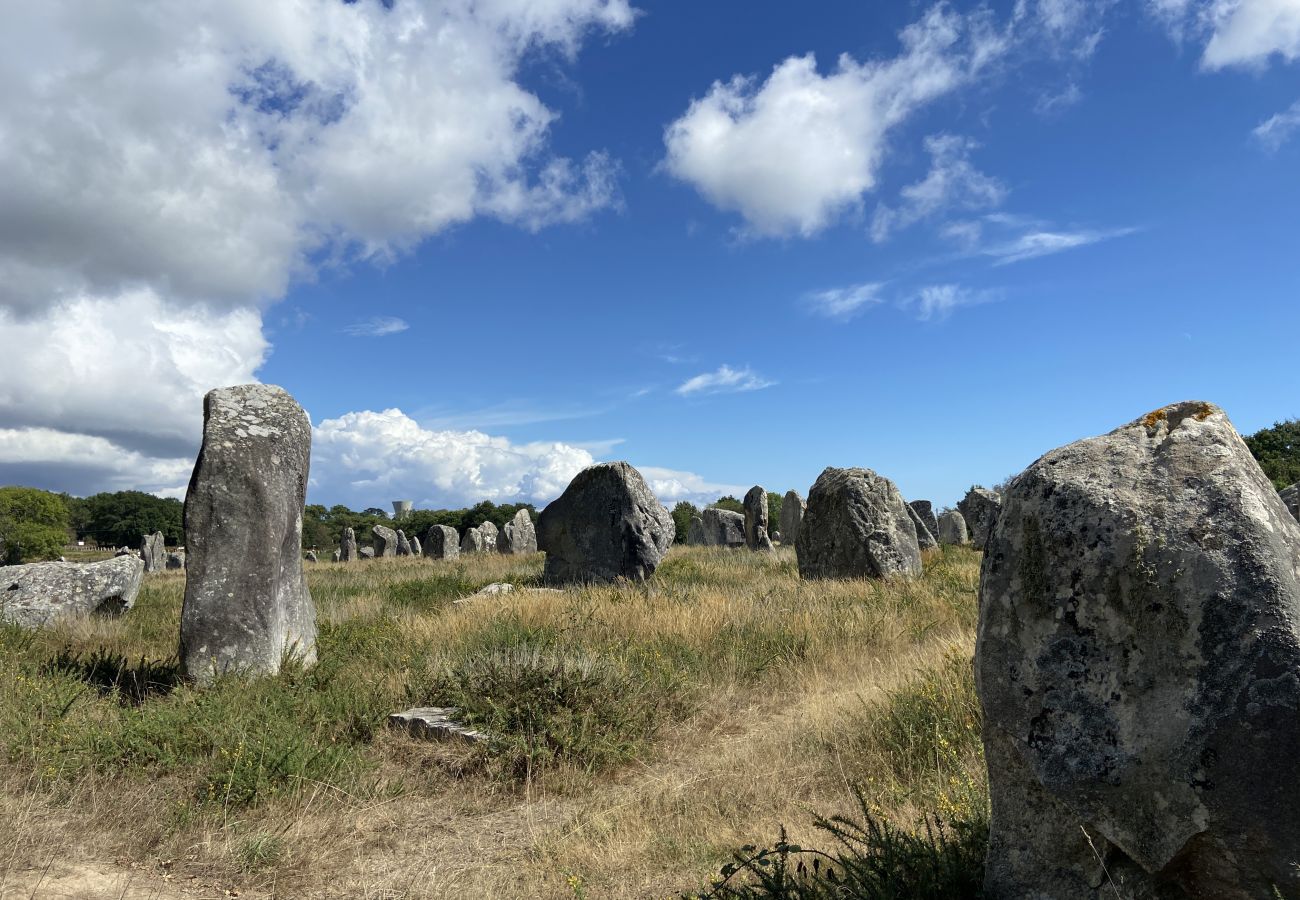 Appartement à Carnac - Korrigans, Appartement Moderne Carnac Bourg - D19