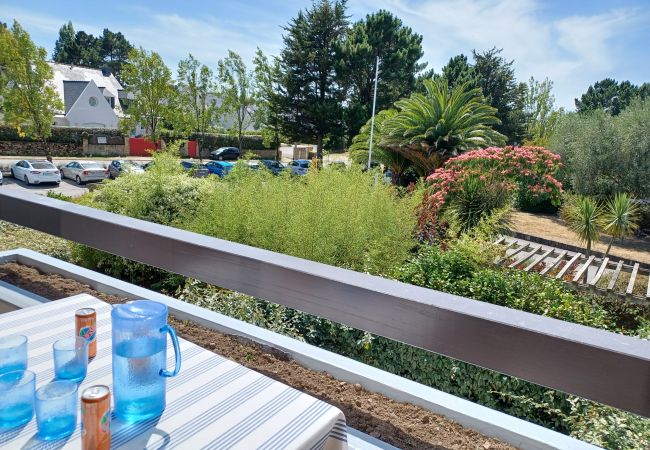 Studio à Carnac - FLEUR DE SEL - Studio en location vacances, proche des plages - UD101 Studio à Carnac - FLEUR DE SEL - Studio en location vacances, proche des plages - UD101