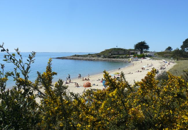 Maison à Saint-Philibert - QUÉHAN - Maison proche de la Trinité-sur-Mer avec grand jardin arboré · C32 Maison à Saint-Philibert - QUÉHAN - Maison proche de la Trinité-sur-Mer avec grand jardin arboré · C32