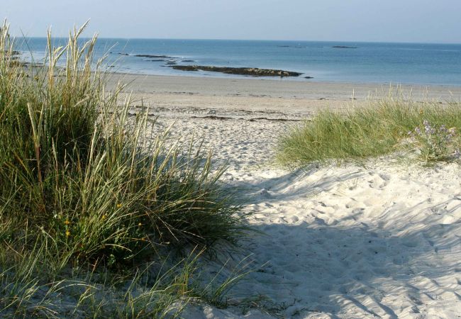 Maison à Carnac - KERDERFF - Longère entre plage et forêt - TK30